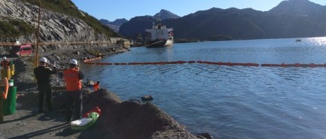 Concluyen faenas de limpieza en Isla Guarello tras inspección de autoridades