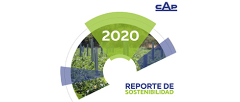 Reporte sustentabilidad 2020