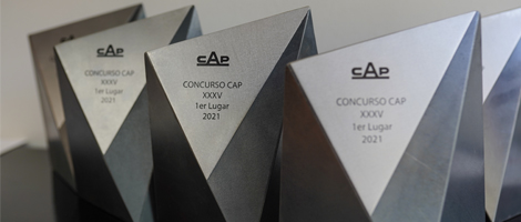 Universidad de Santiago obtuvo primer lugar en Concurso CAP 2021 con su “Bloque Lúdico Integral”